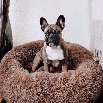 Orthopedic Plush Dog Bed – FluffyNest Comfort Sleeping Cushion