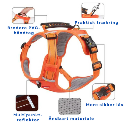 Lightweight No-Pull Harness for Safe and Stylish Walks