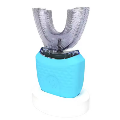 Electric Toothbrush with Rechargeable Battery and Extra Brush Heads