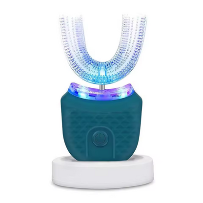 Electric Toothbrush with Rechargeable Battery and Extra Brush Heads