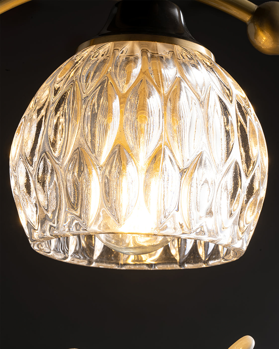 Ceiling Light Fixture with Bird Design