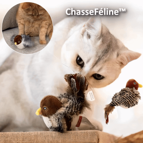WildPlay Motion Toy | Unleash Your Cat's Natural Instincts