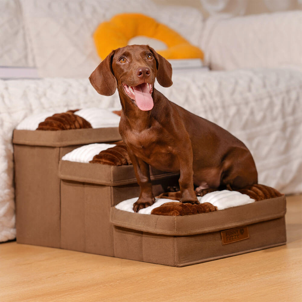 Luxury Dog Steps for Pets | Style, Comfort, and Functionality