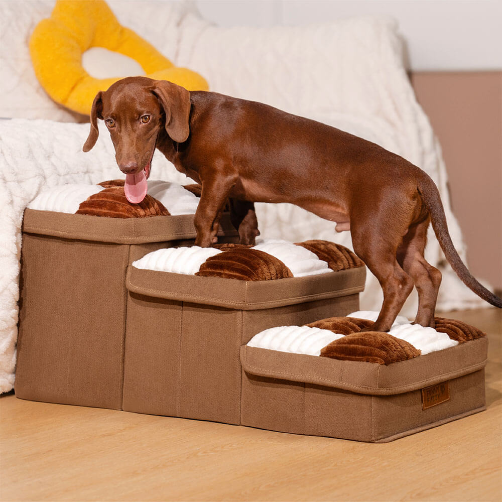 Luxury Dog Steps for Pets | Style, Comfort, and Functionality