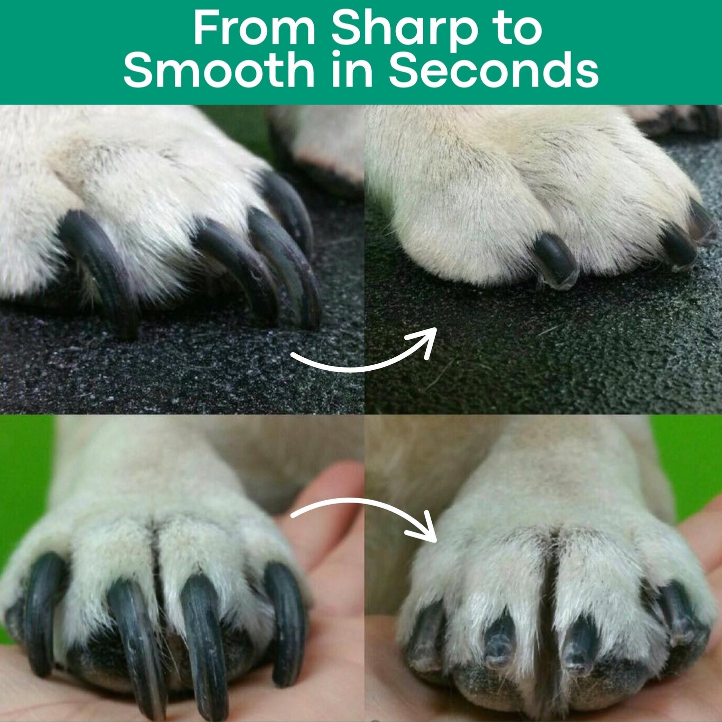 PawPerfect Pro — Effortlessly Trim Your Pet's Nails with Confidence