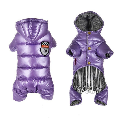 Trendy Winter Jacket for Dogs
