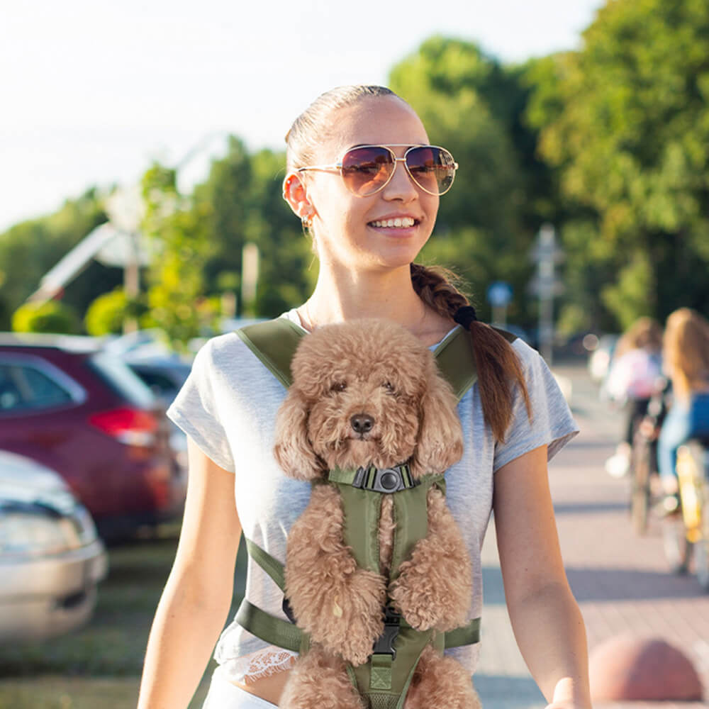 Comfortable Carry Bag for Small Dogs – Cockpit Style Dog Carrier