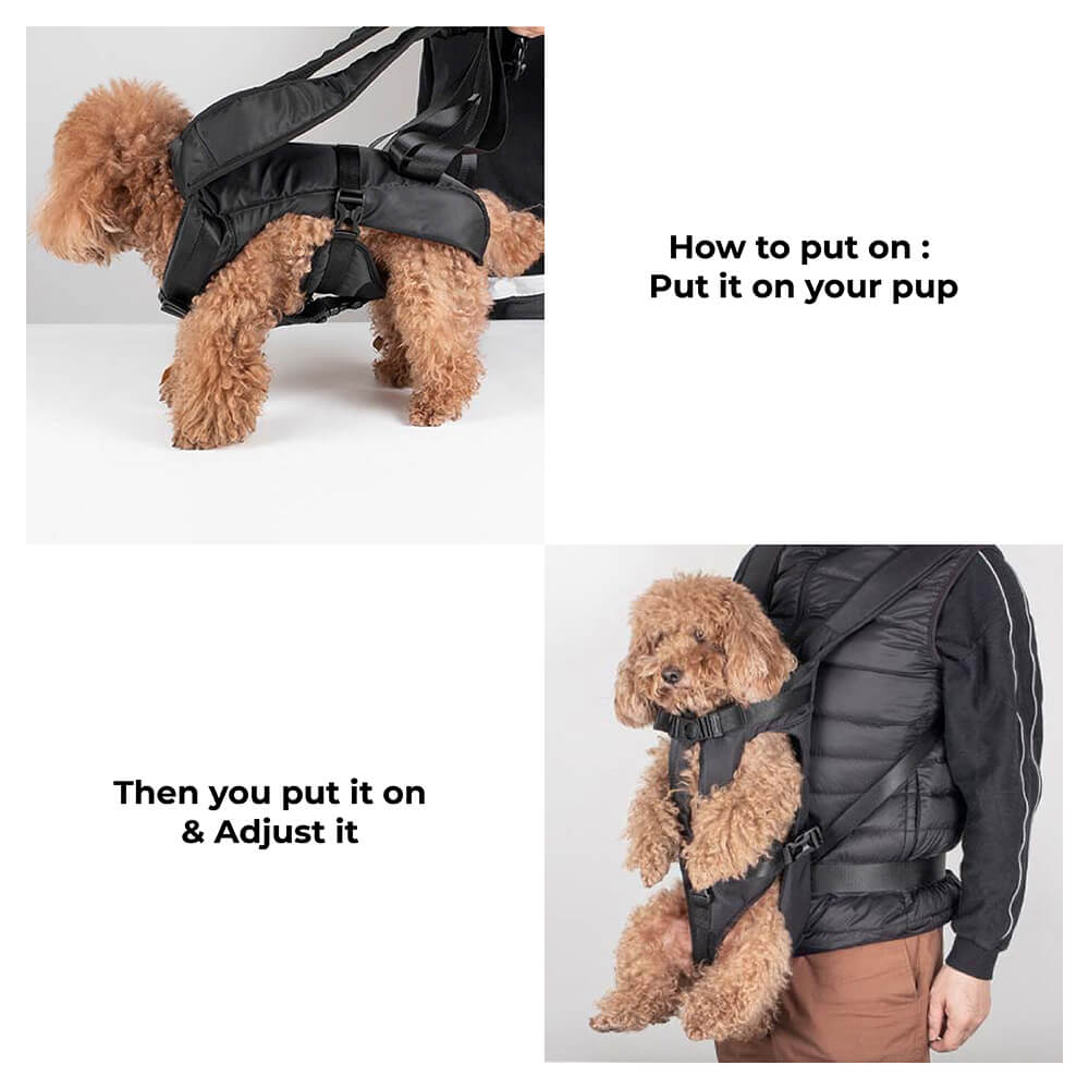 Comfortable Carry Bag for Small Dogs – Cockpit Style Dog Carrier