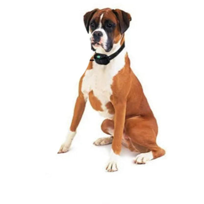 Waterproof Electronic Dog Bark Collar – Remote Control with Long Range