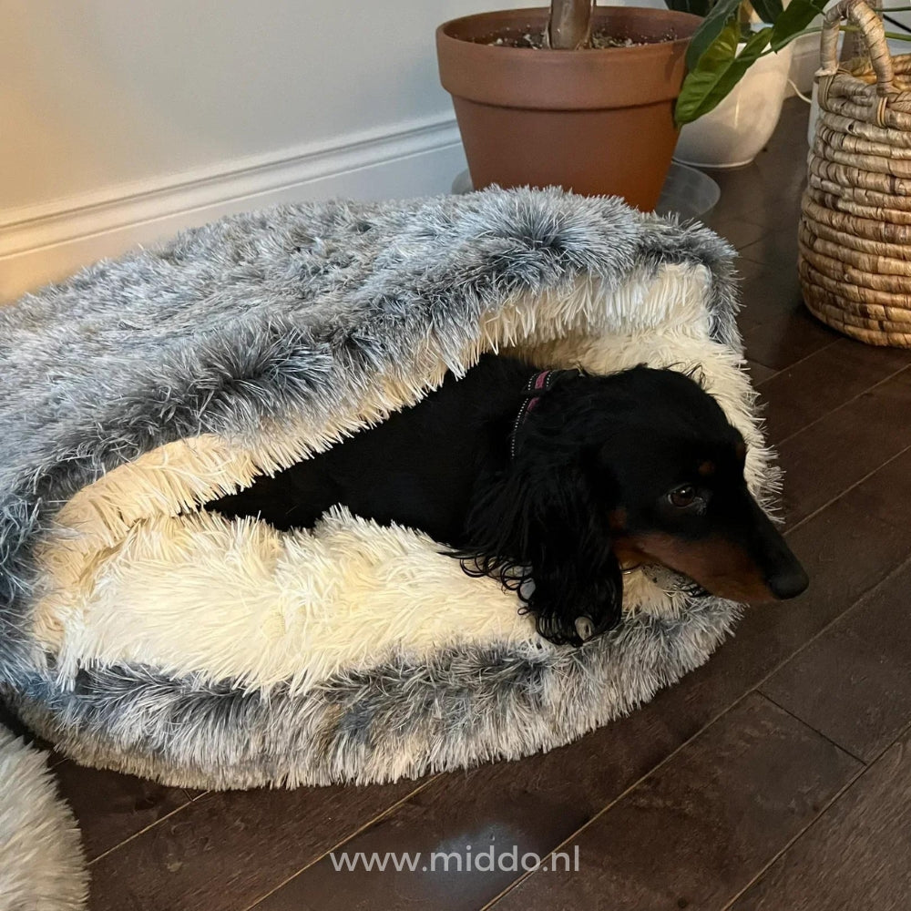 Cozy Pet Bed for Happy Dogs and Cats – SnuggleNest Design