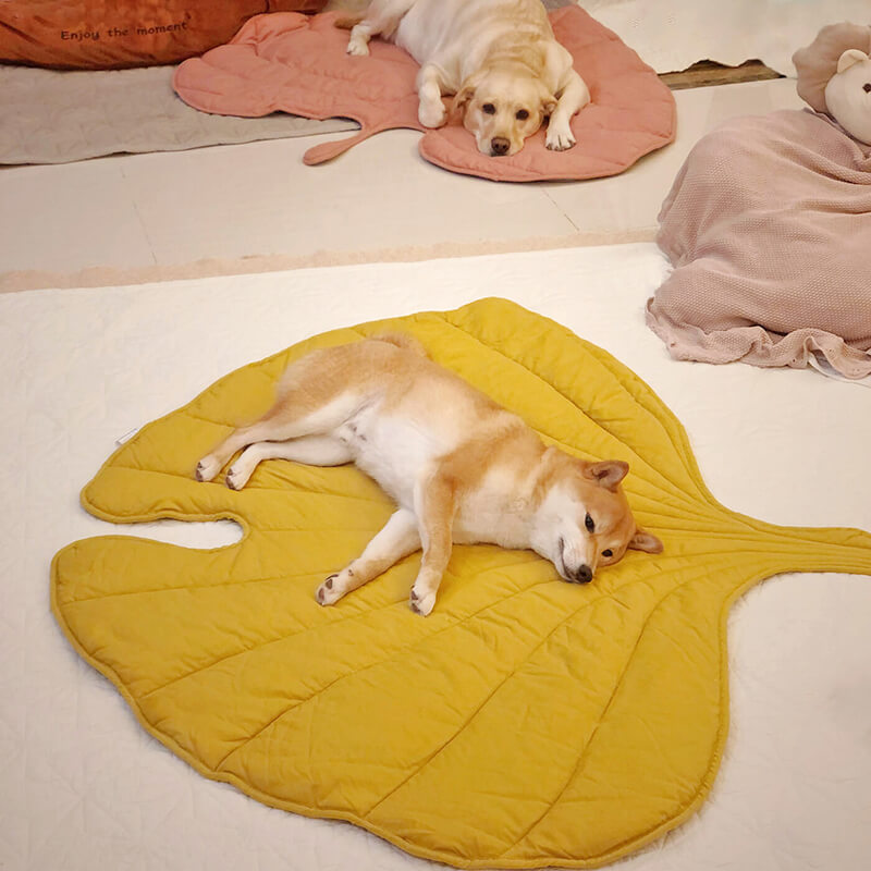 Large Throw Blanket for Dogs – Comfortable Companion Cover
