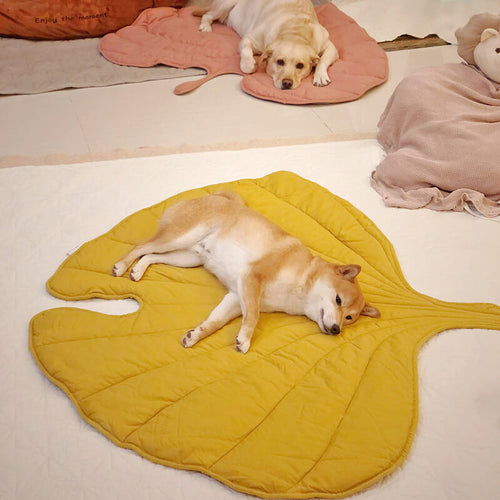 Large Throw Blanket for Dogs – Comfortable Companion Cover