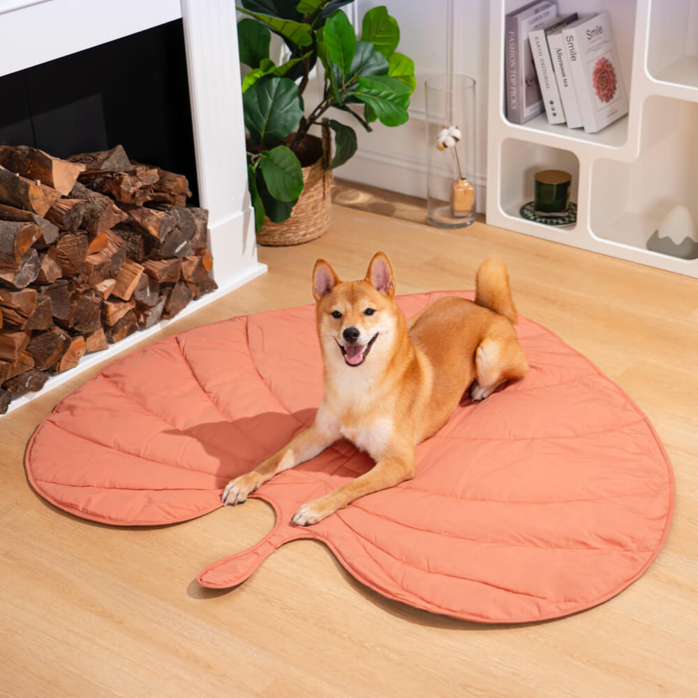 Large Throw Blanket for Dogs – Comfortable Companion Cover