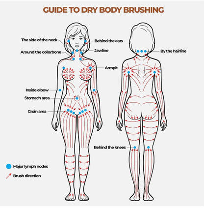 Sculpt & Glow Facial Brush | Gentle Lymphatic Massage Tool