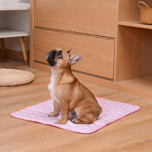 Cooling Mat for Pets | Heat-Absorbing Pad for Relaxed Animals