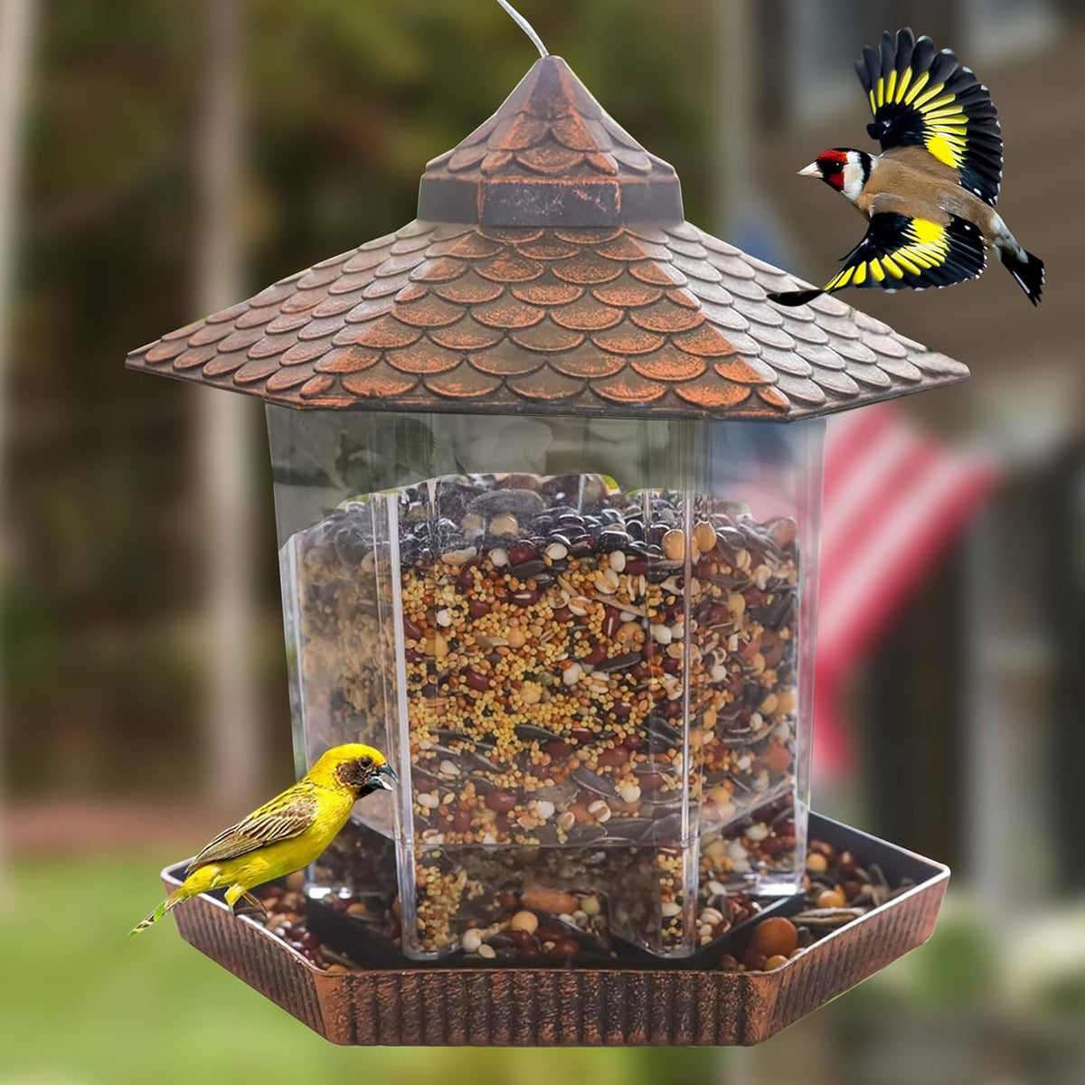 Sturdy Metal Bird Nest Featuring Clear Grain Storage Container
