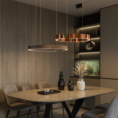 Circular Ceiling Lamp – Contemporary Ring Pendant Light