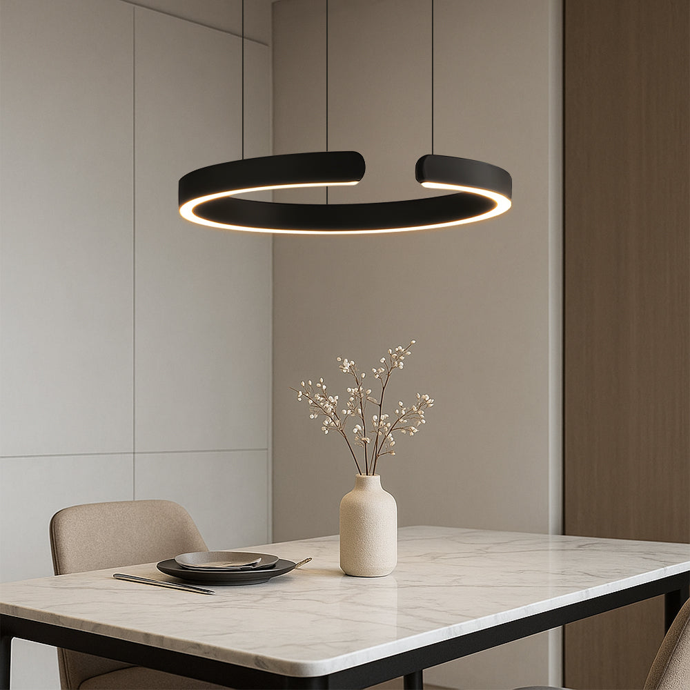 Circular Ceiling Lamp – Contemporary Ring Pendant Light