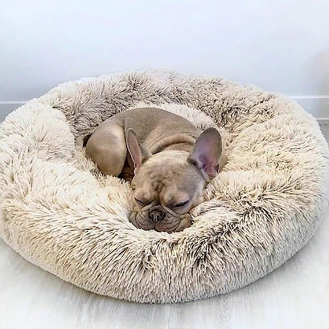 Washable Dog Bed - Comfortable Cushion for Pets