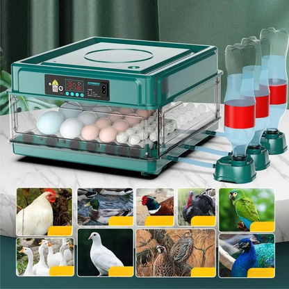 Temperature-Controlled Automatic Egg Incubator with Turning Feature
