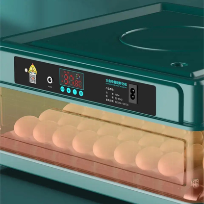 Temperature-Controlled Automatic Egg Incubator with Turning Feature