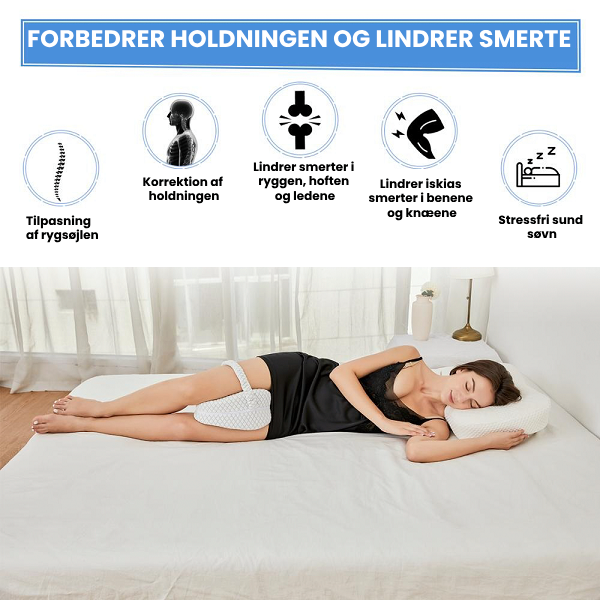 PostureGuard Support Cushion