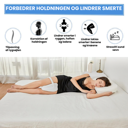 PostureGuard Support Cushion