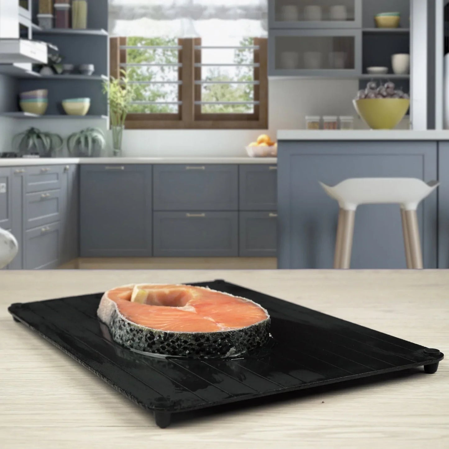 Rapid Defrosting Tray for Frozen Foods