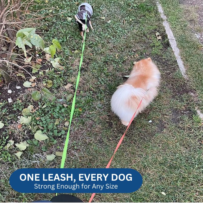 10FT Double Retractable Pet Leash with Integrated Flashlight & Waste Bag Dispenser