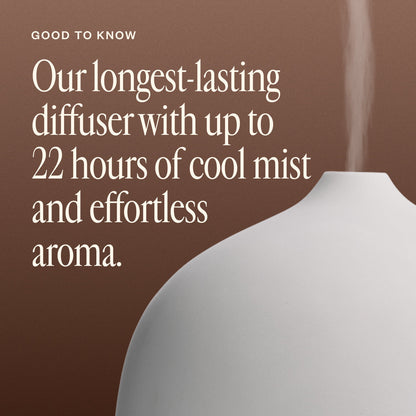 EcoMist Aromatherapy Diffuser | Silent Oil Diffuser