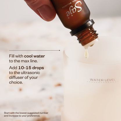 EcoMist Aromatherapy Diffuser | Silent Oil Diffuser