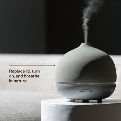 EcoMist Aromatherapy Diffuser | Silent Oil Diffuser