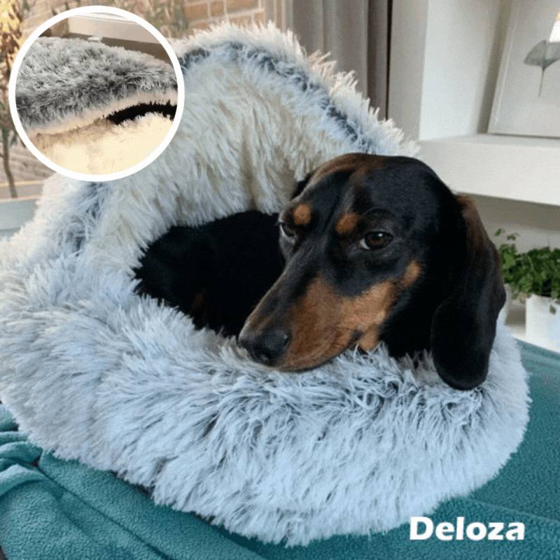 50% OFF | Comfortable Pet Bed - Last Day of Discount