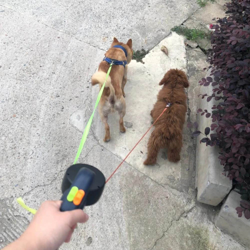 Retractable Dual Pet Leash with LED Light