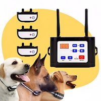 3x Collars