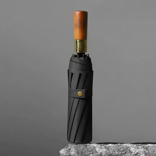 Folding Umbrella with Automatic Open and Close Mechanism