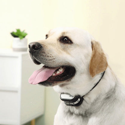 Wireless Dog Fence and Training Collar | Humane Correction Methods | Rechargeable & Waterproof