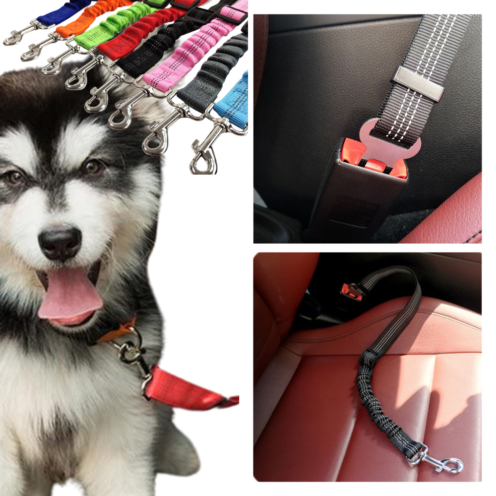 Adjustable & Durable Car Safety Harness for Dogs