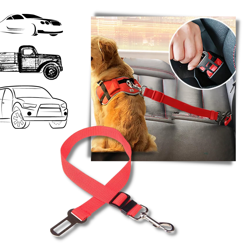 Adjustable & Durable Car Safety Harness for Dogs
