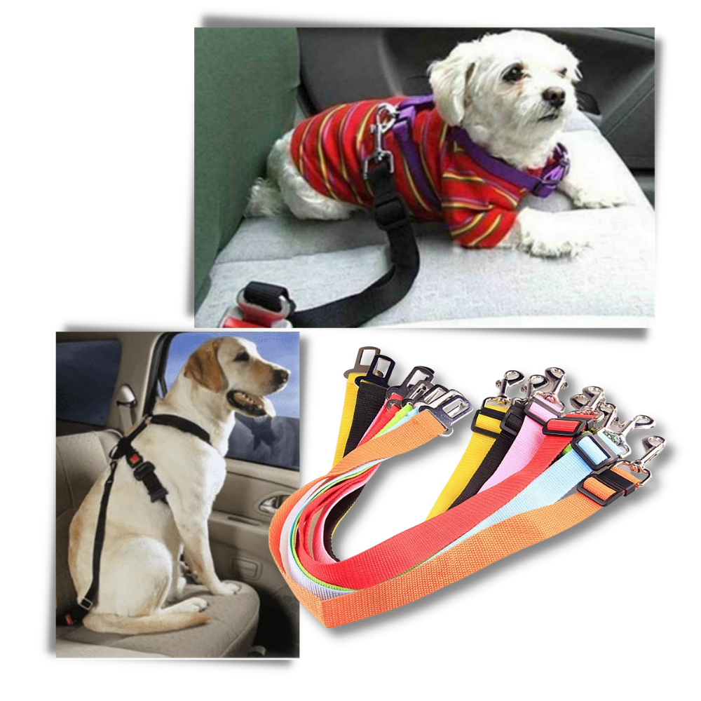 Adjustable & Durable Car Safety Harness for Dogs