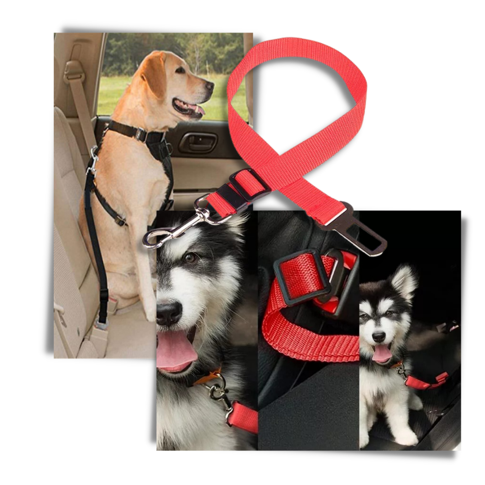 Adjustable & Durable Car Safety Harness for Dogs