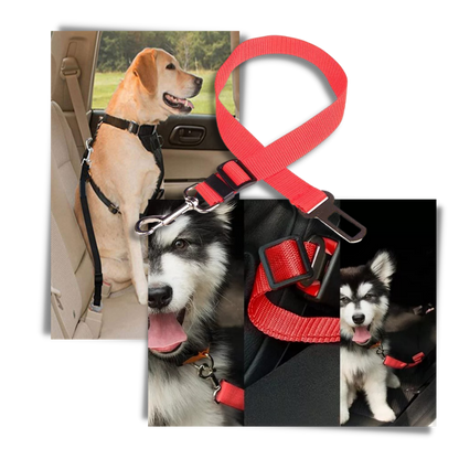 Adjustable & Durable Car Safety Harness for Dogs