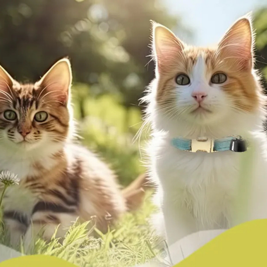 Mini Pet Tracker – Bluetooth Animal Locator with Collar and Bell