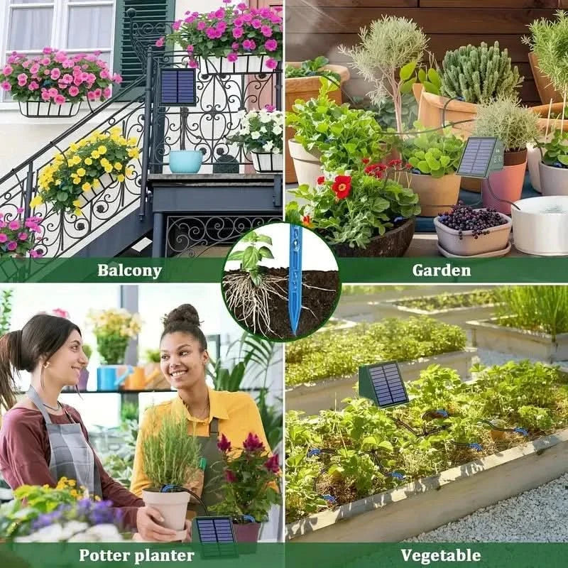 Automated Solar Drip Irrigation Solution