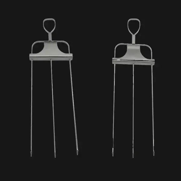 Stainless Steel Skewers | Double Prong Design for Clean Serving