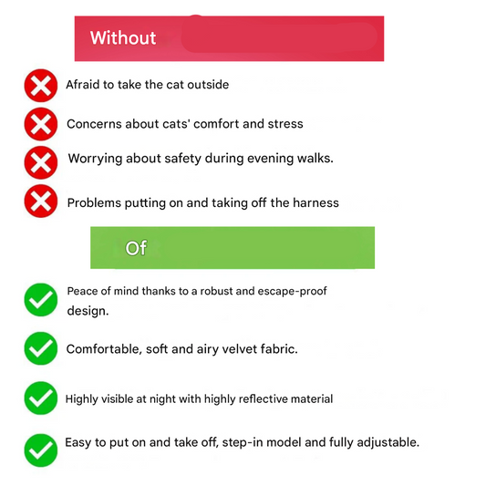 Explorer Cat Harness and Leash – Custom Fit with Reflective Safety