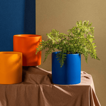 Elegant White Ceramic Planter for Contemporary Spaces