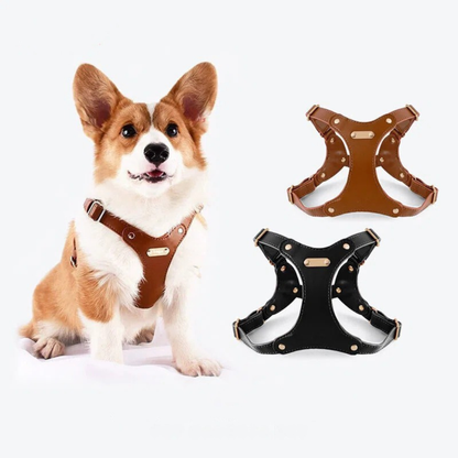 Customizable Leather Dog Harness for Ultimate Comfort