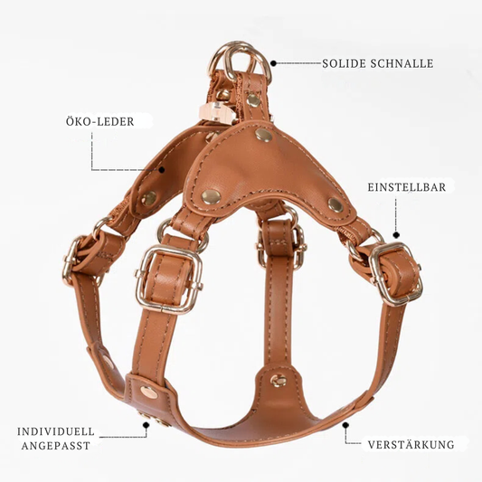 Customizable Leather Dog Harness for Ultimate Comfort
