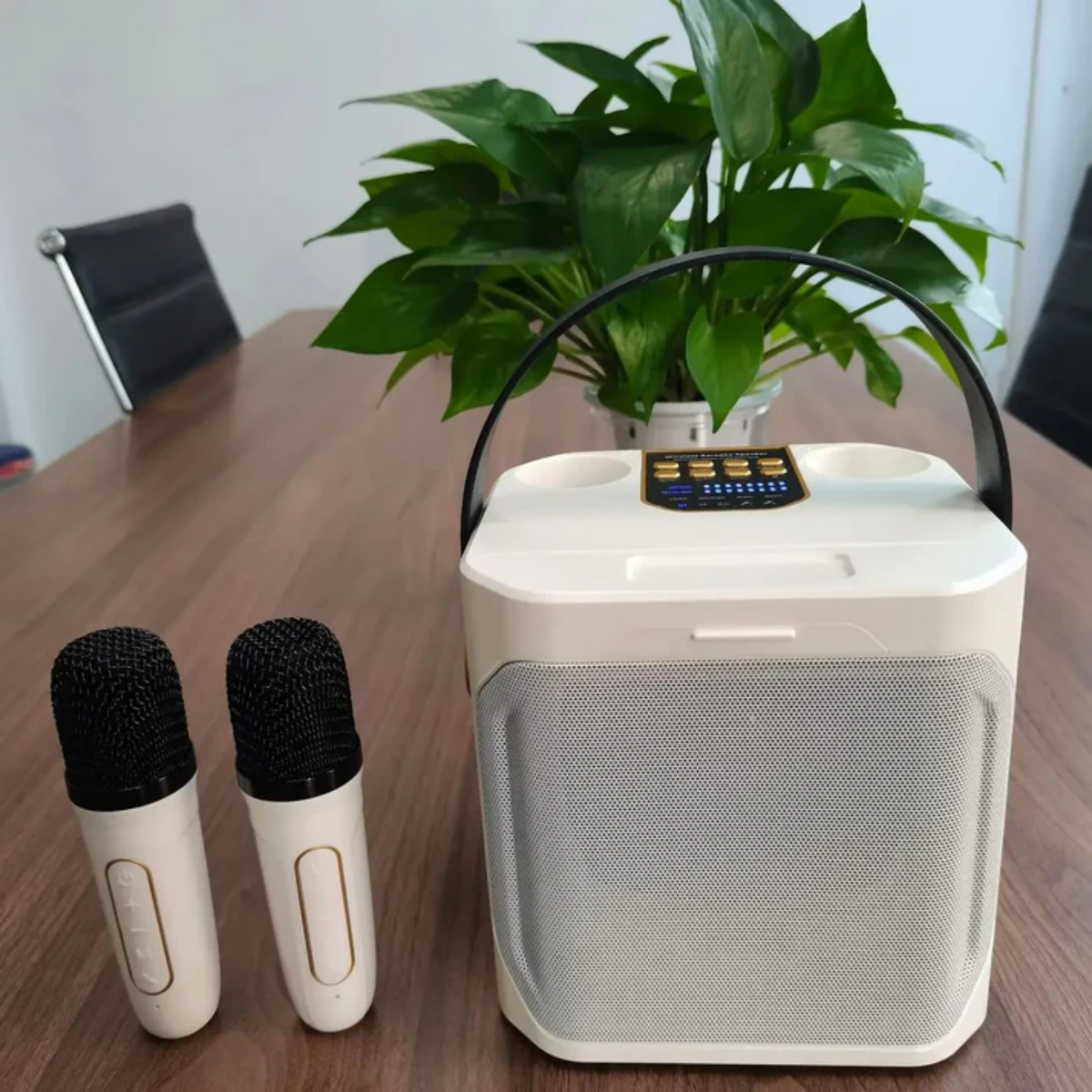 Compact Bluetooth Speaker with Karaoke Feature